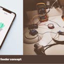App developers Grow innovative office wellbeing project
