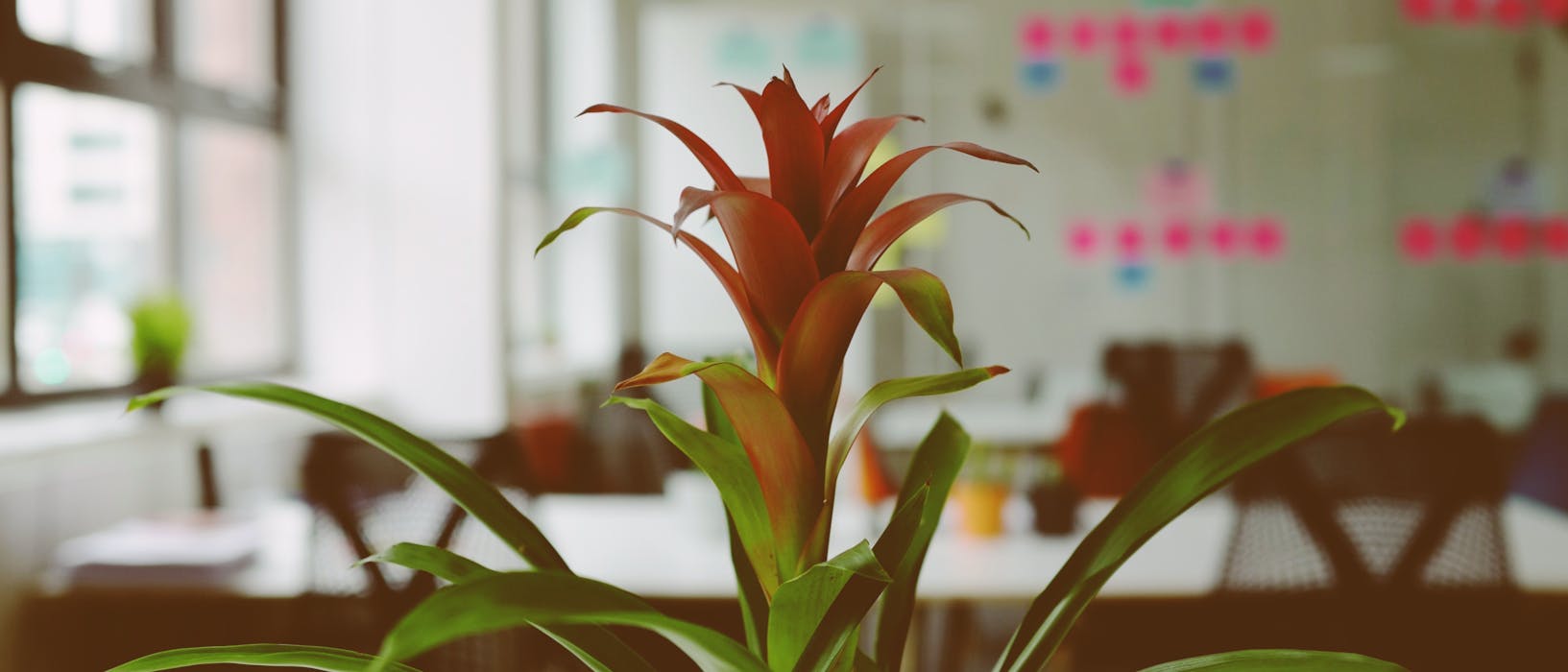 Working through the Coronavirus pandemic