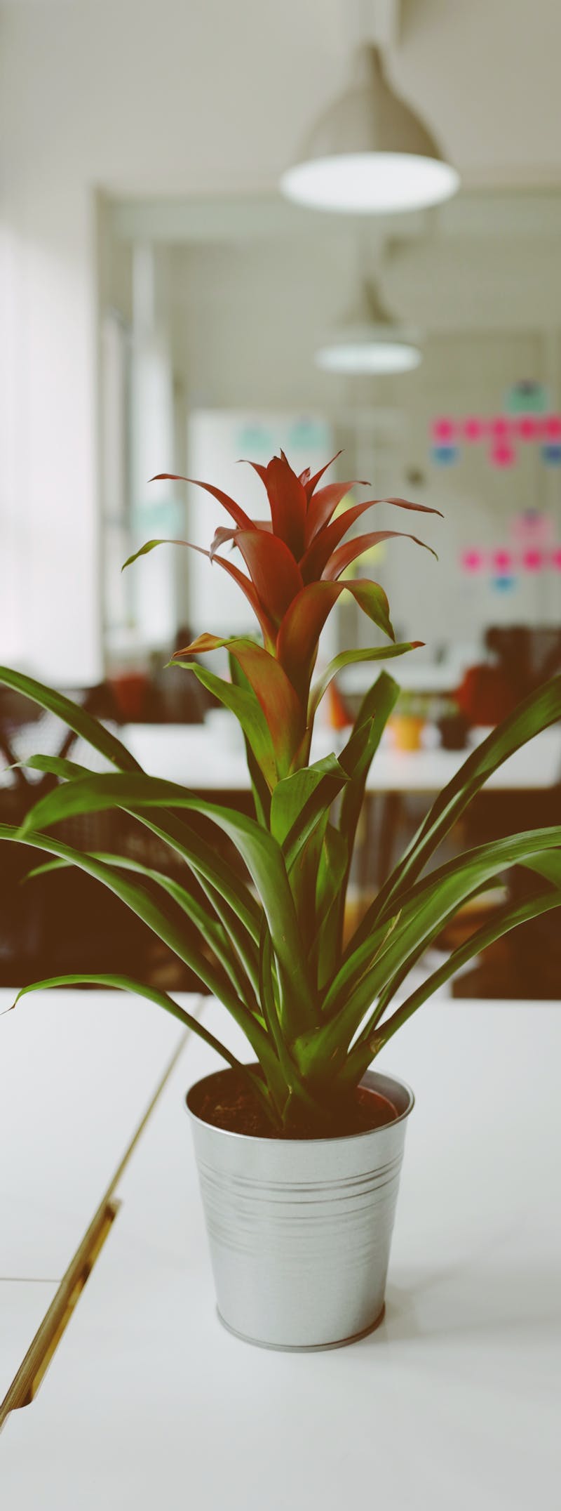 Working through the Coronavirus pandemic