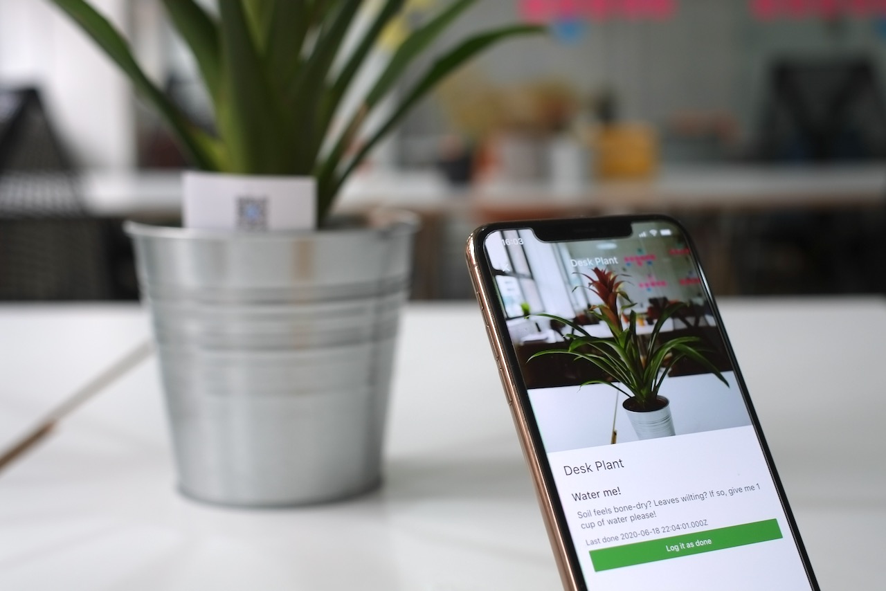 A mobile app identifying a plant on a table