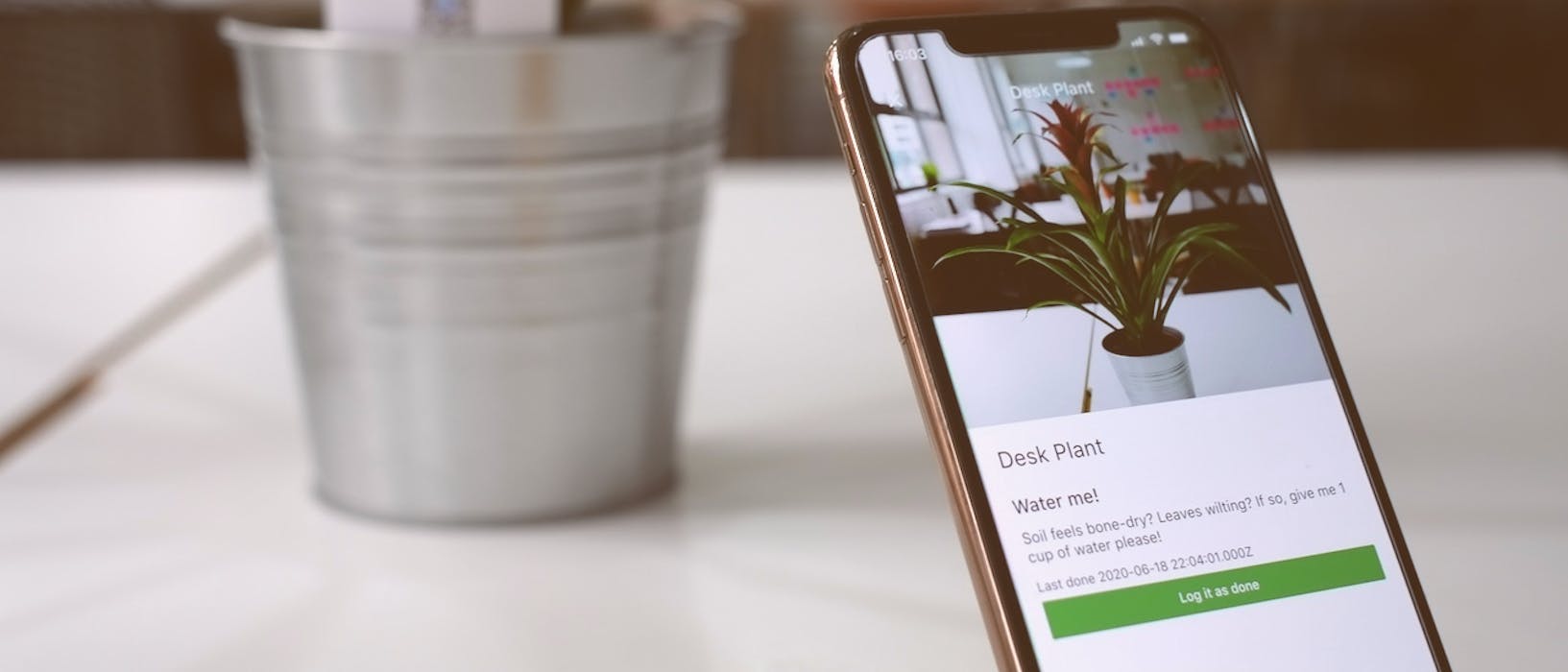 A mobile app identifying a plant on a table