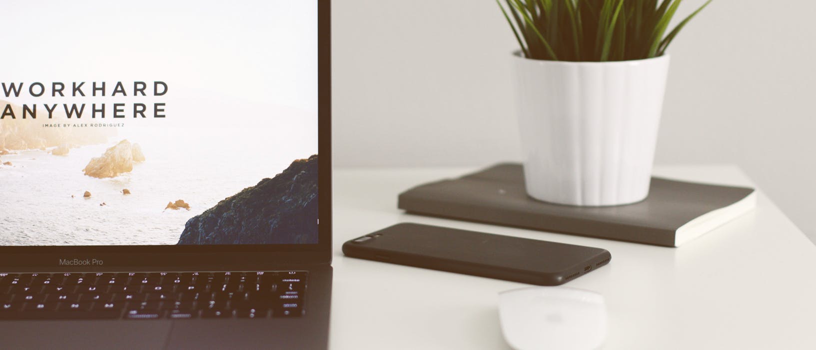 A laptop on a white desk with a potplant