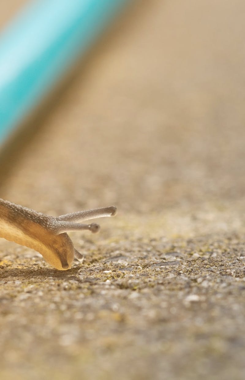 Help, my startup app development is taking forever!