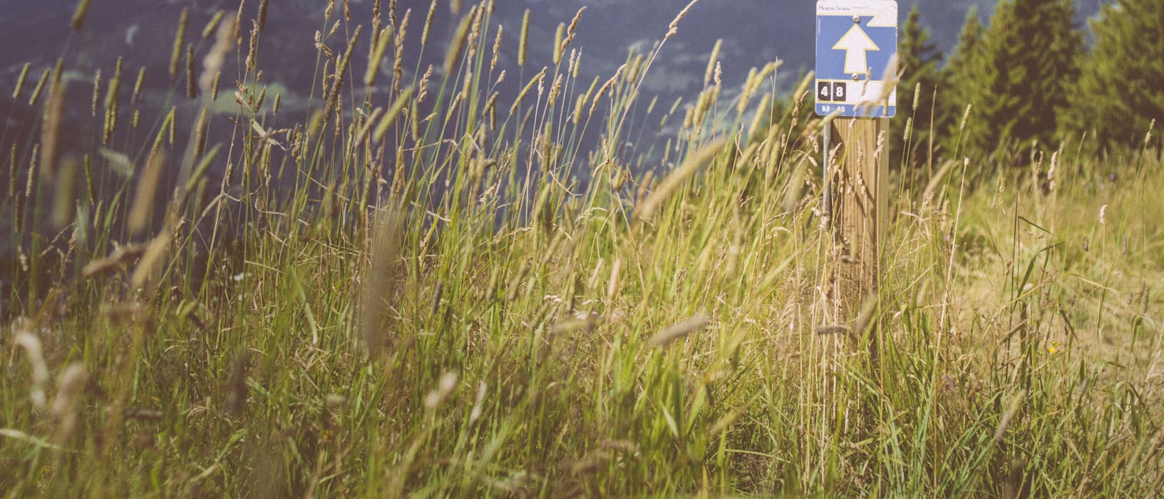 white and brown wooden signage on green grass field