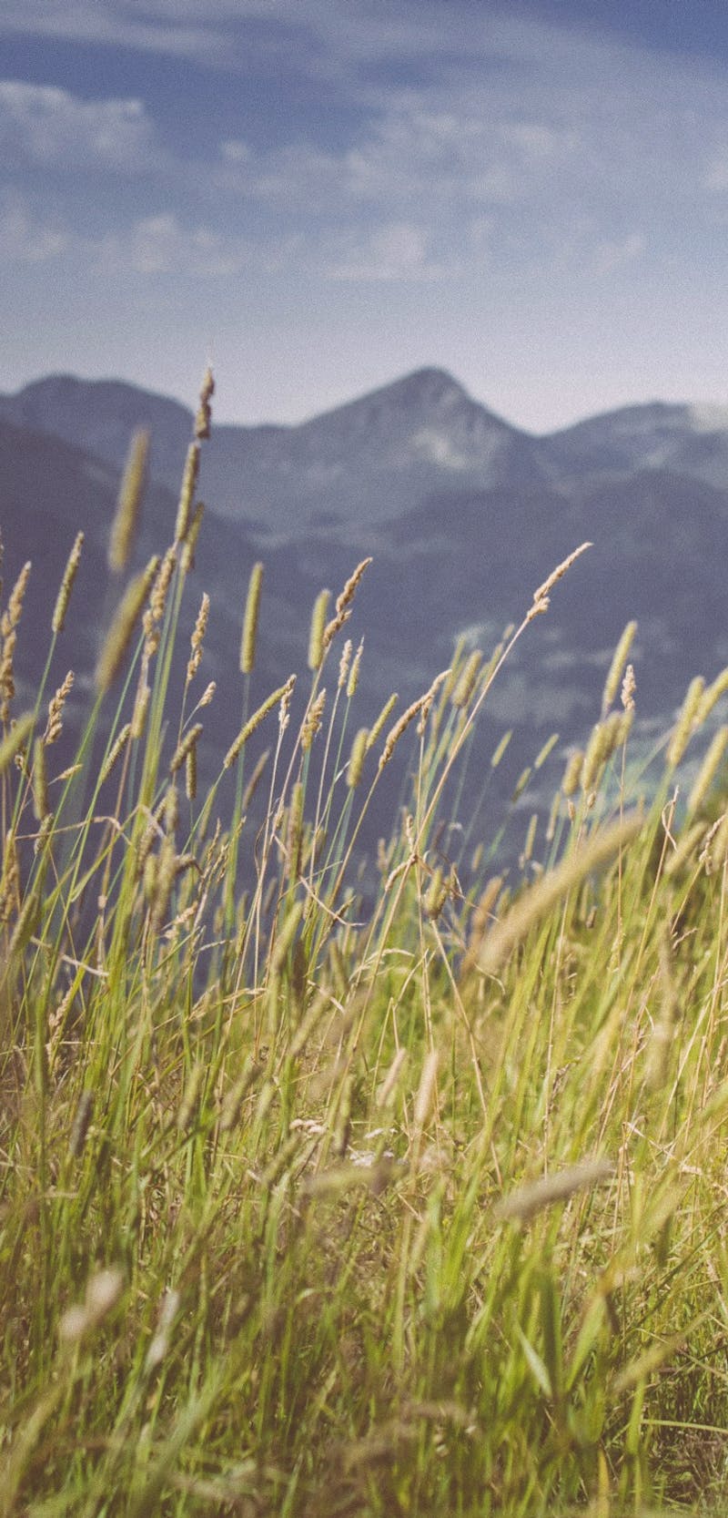 Navigation Tools in Android Development