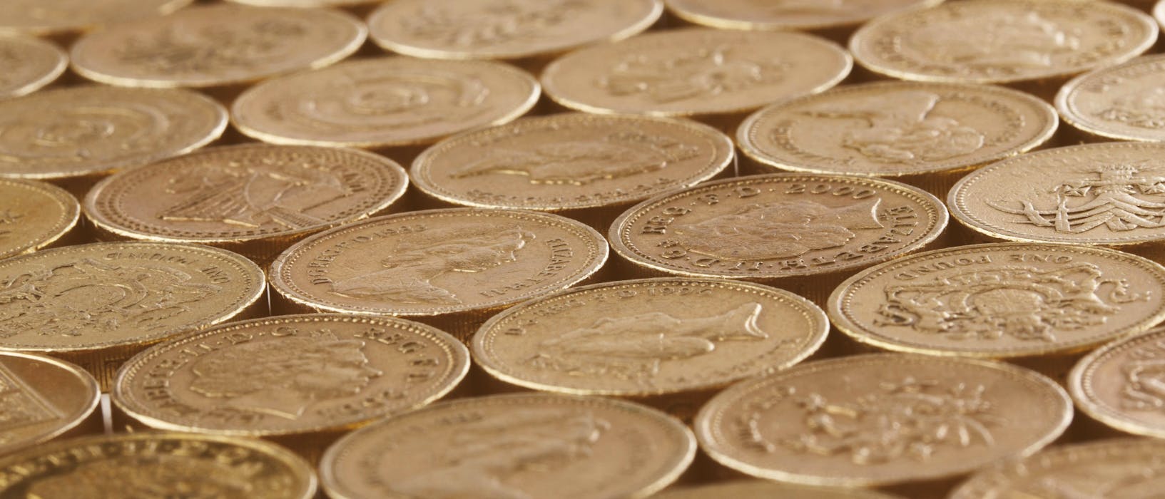 pexels-public-domain-pictures