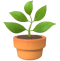 A plant emoji