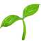 Plant Grow Emoji