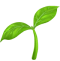 Plant Grow Emoji