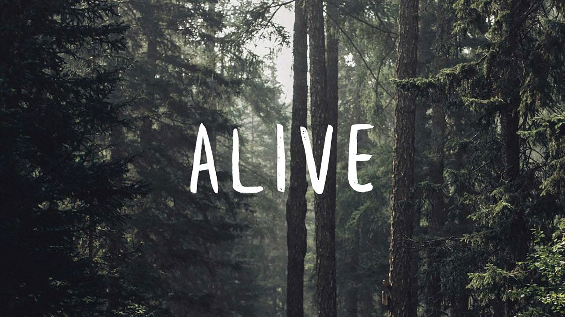 Series: Alive