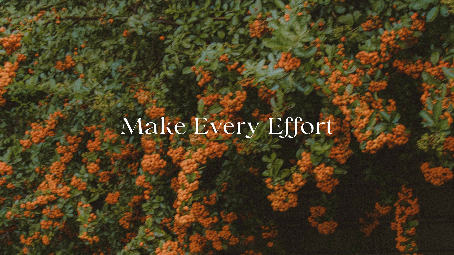 Series: Make Every Effort