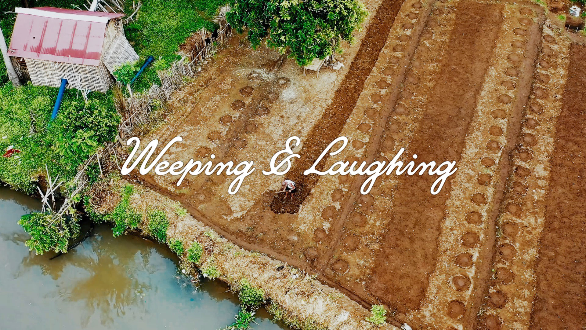 Series: Weeping & Laughing