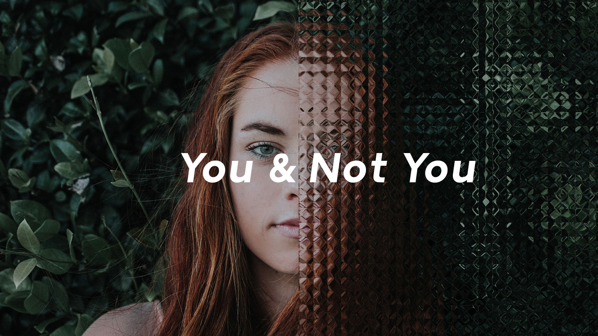 Series: You & Not You