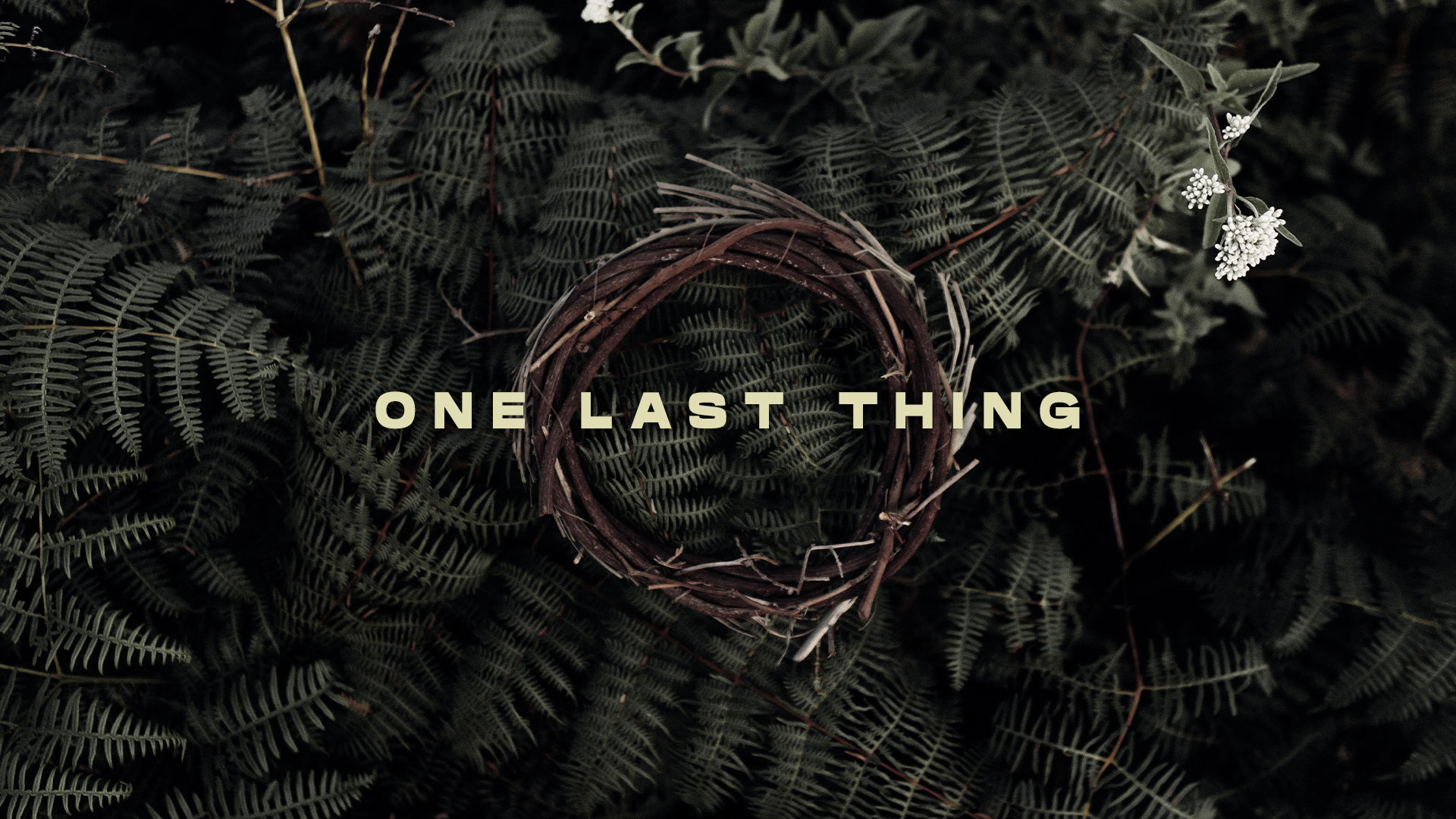 Series: One Last Thing