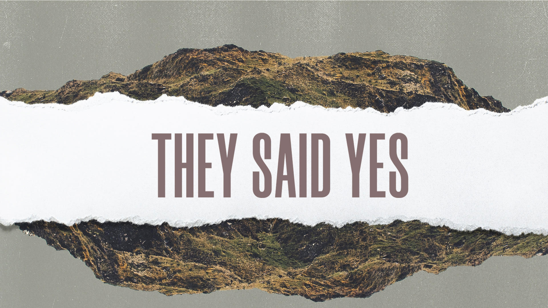 Series: They Said Yes