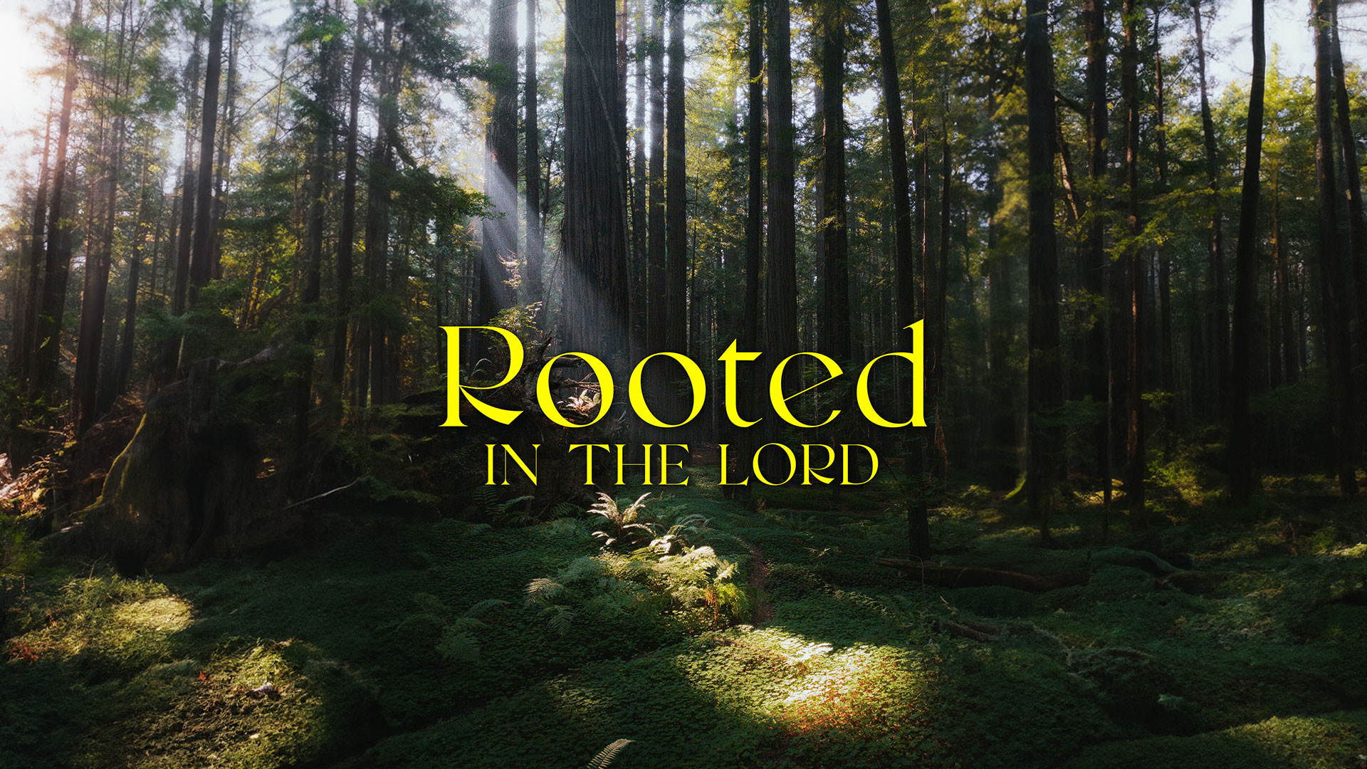 Series: Rooted In The Lord