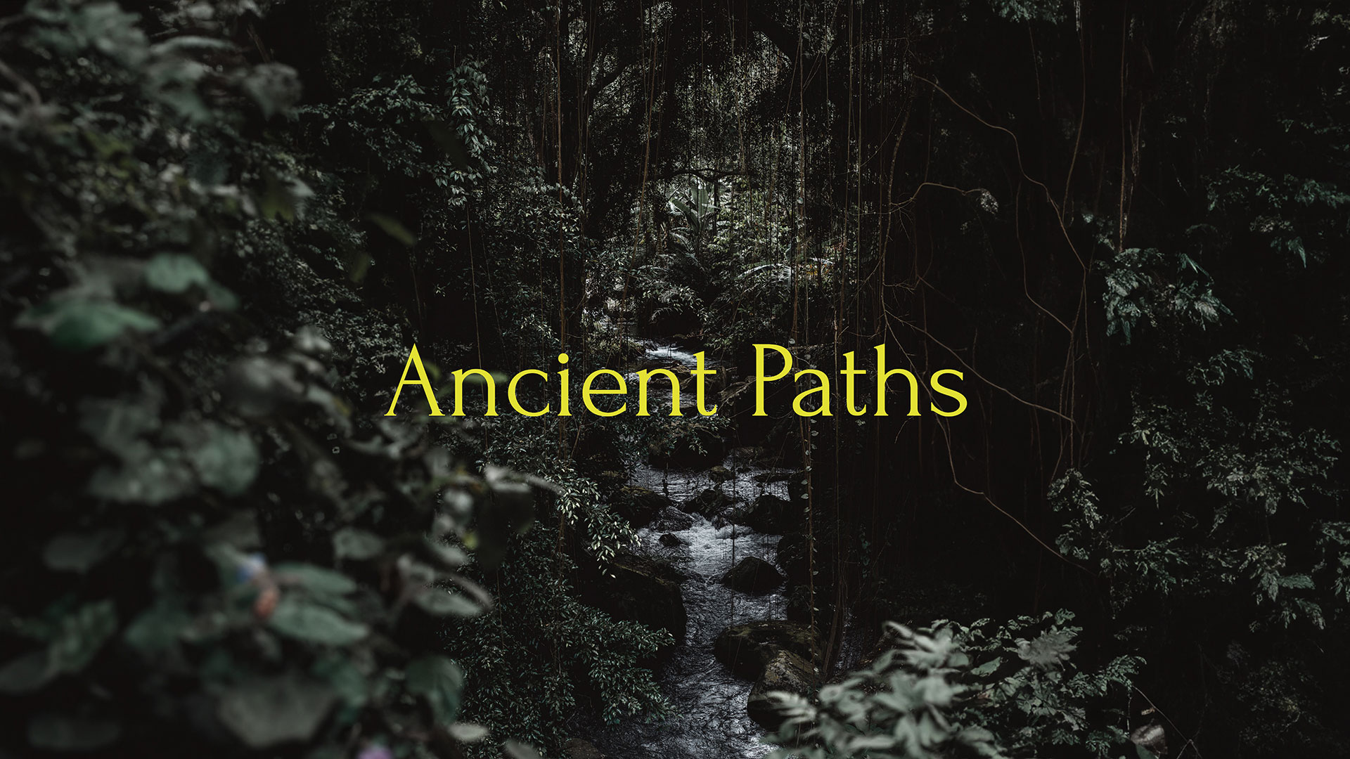 Series: Ancient Paths