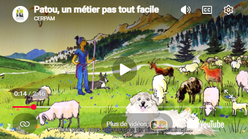 Patou video Patou video