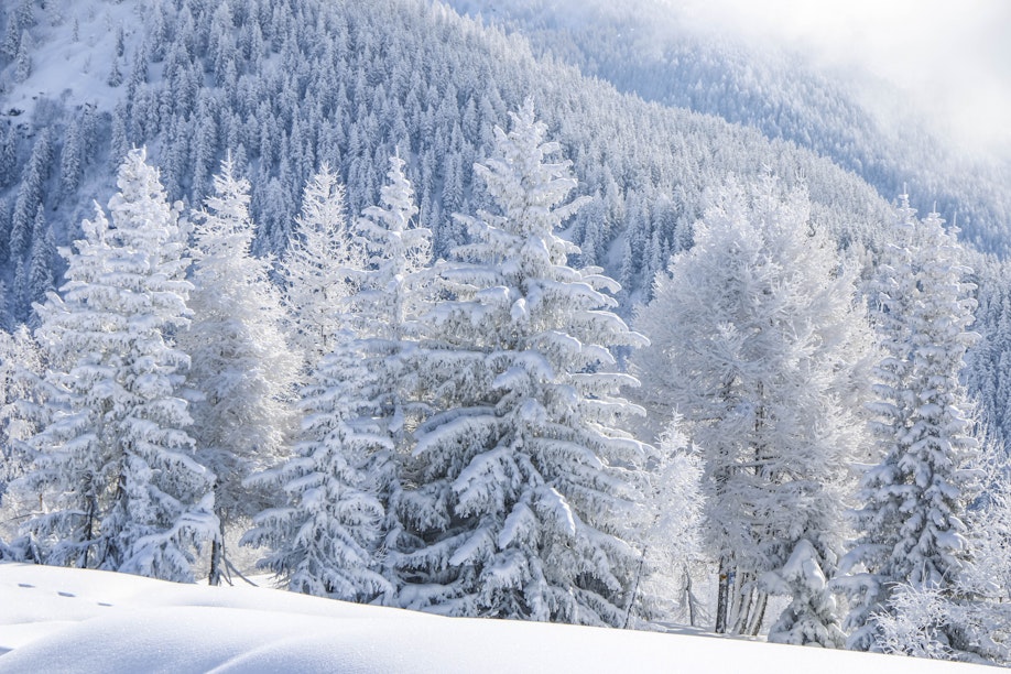 Paysage Paysage