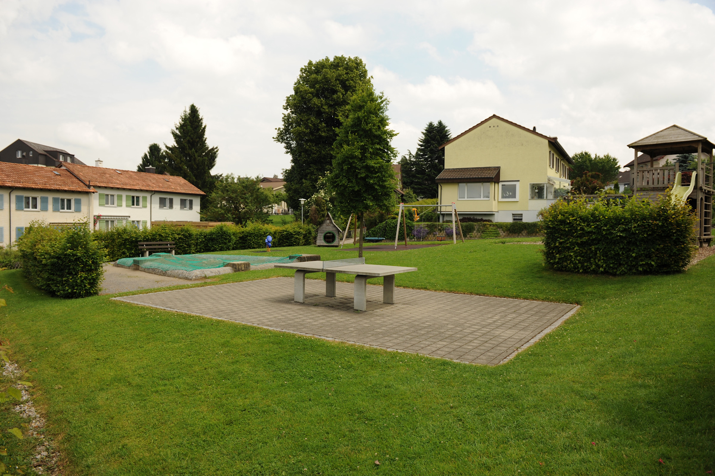 sp-gozenberg-2013-1.jpg