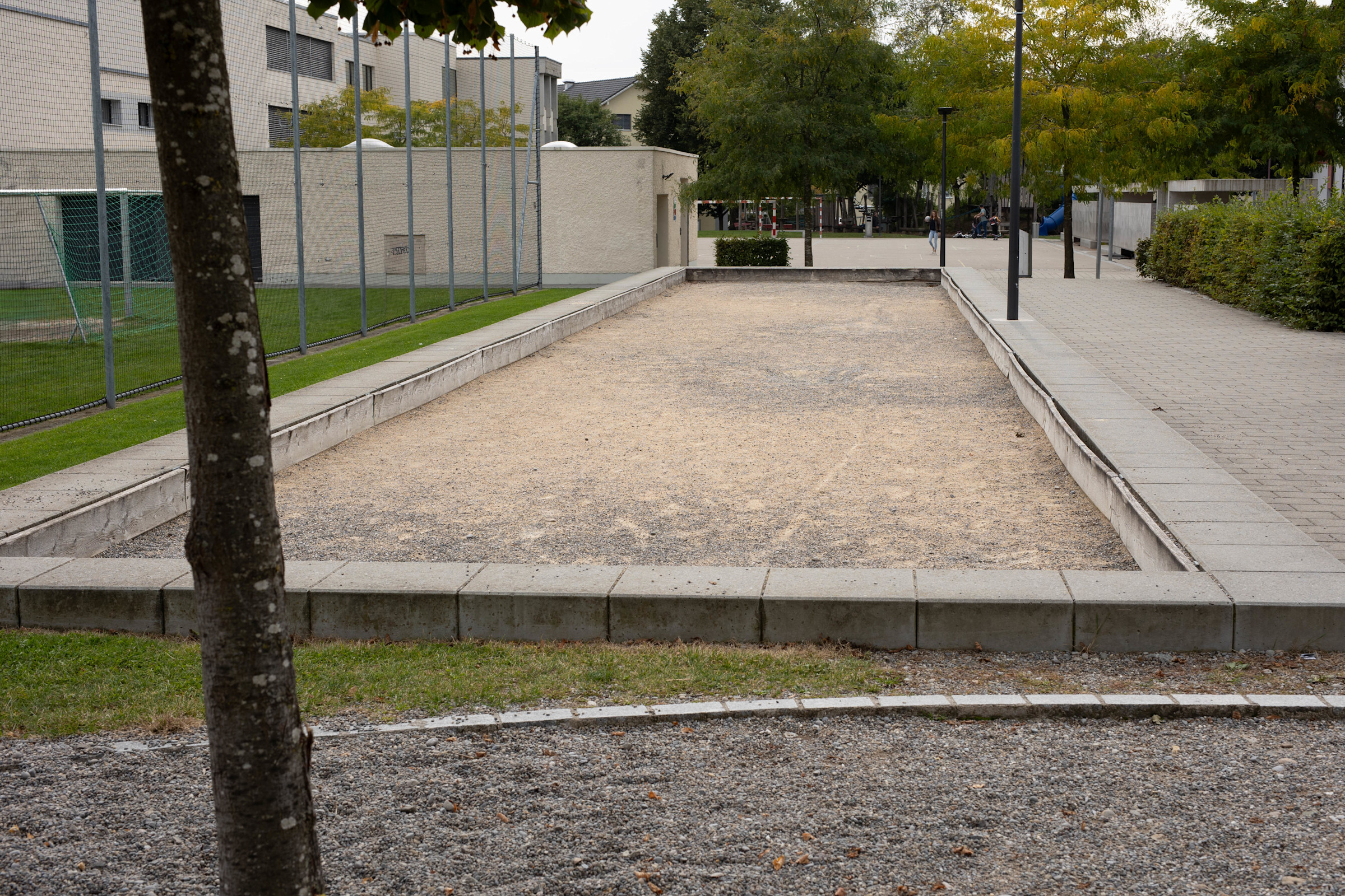 zuzwil-summervogel_3w1a9883.jpg