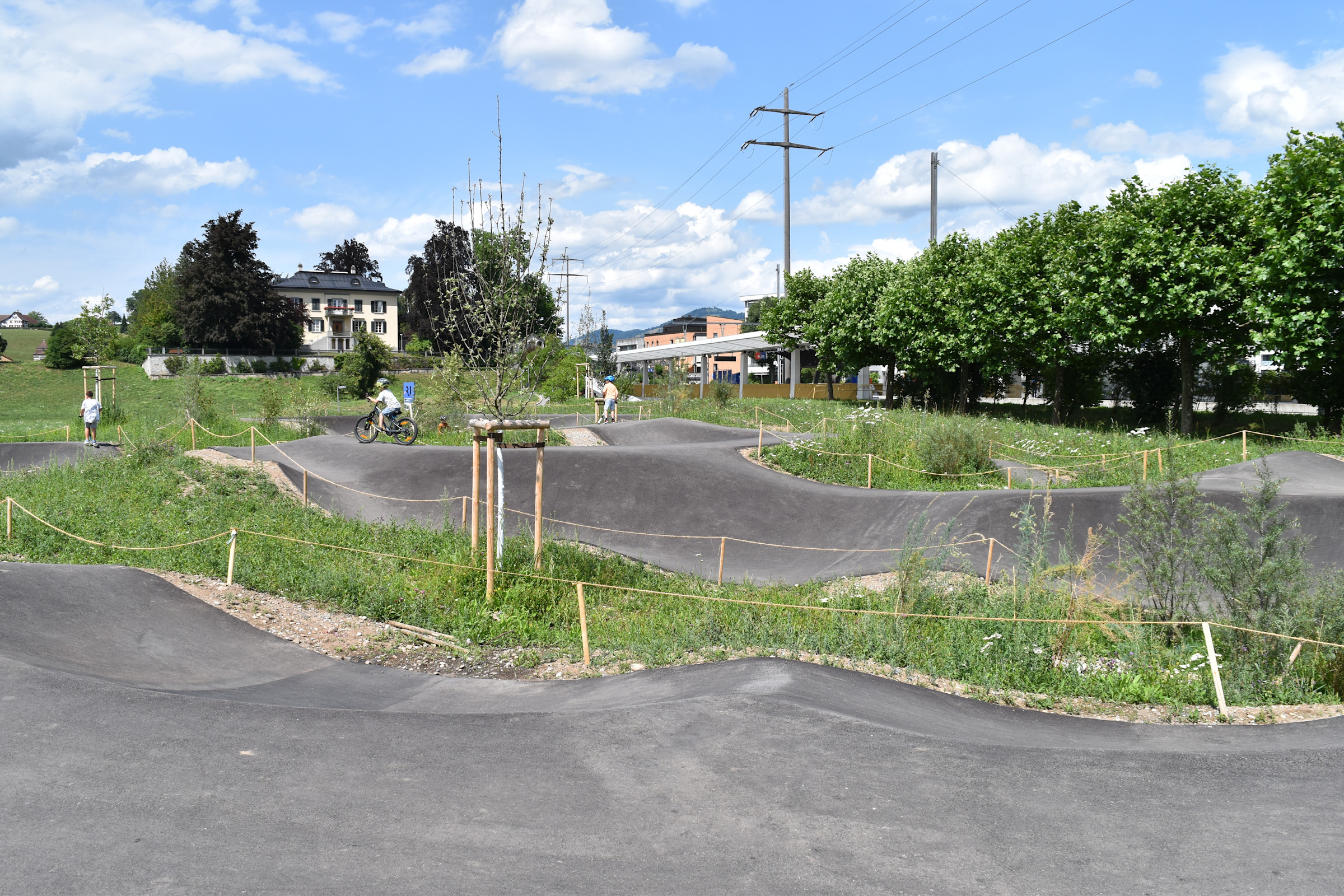 rollerpark-3.jpg