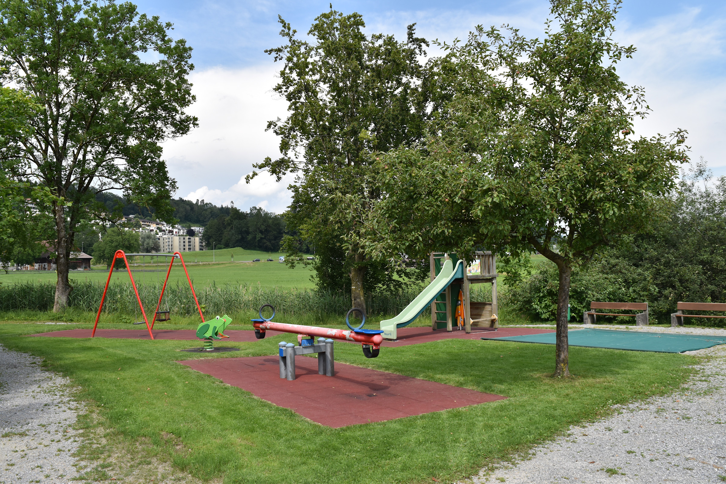 erlen-4.jpg