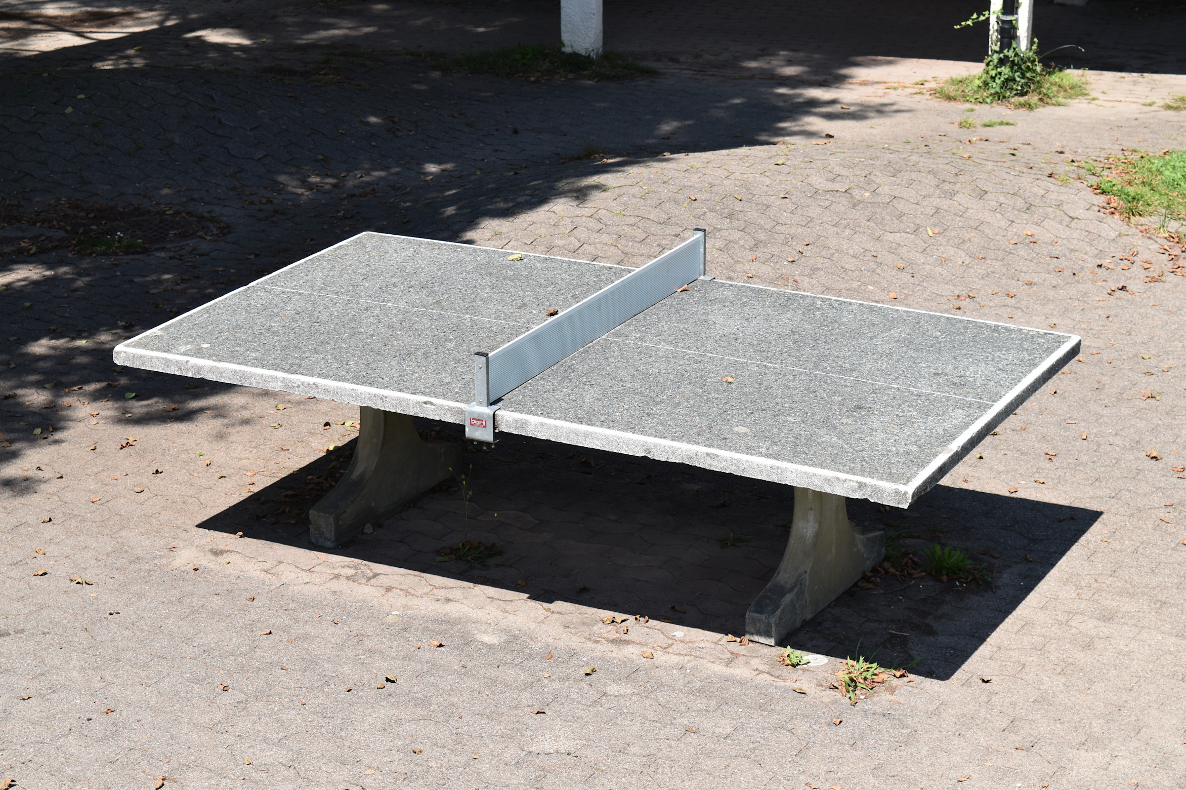 hanflander-1.jpg
