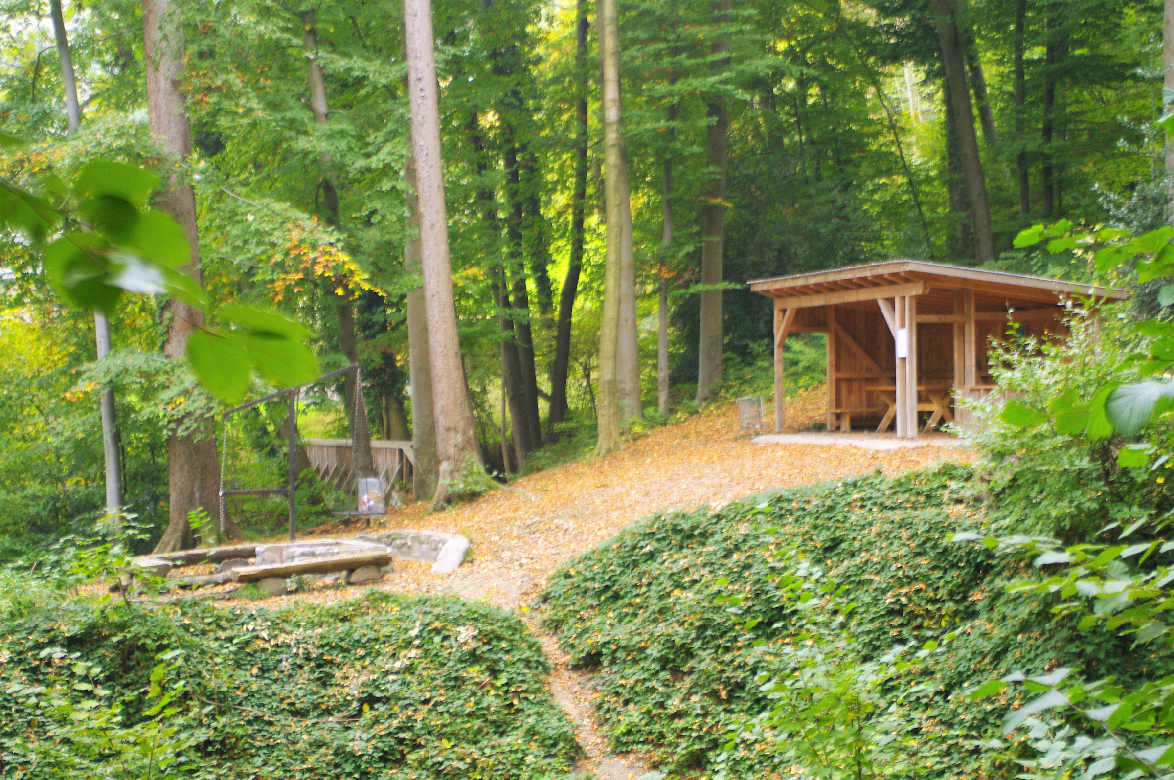 rorschacherberg_walderlebnisplatz_wannenbach.jpg