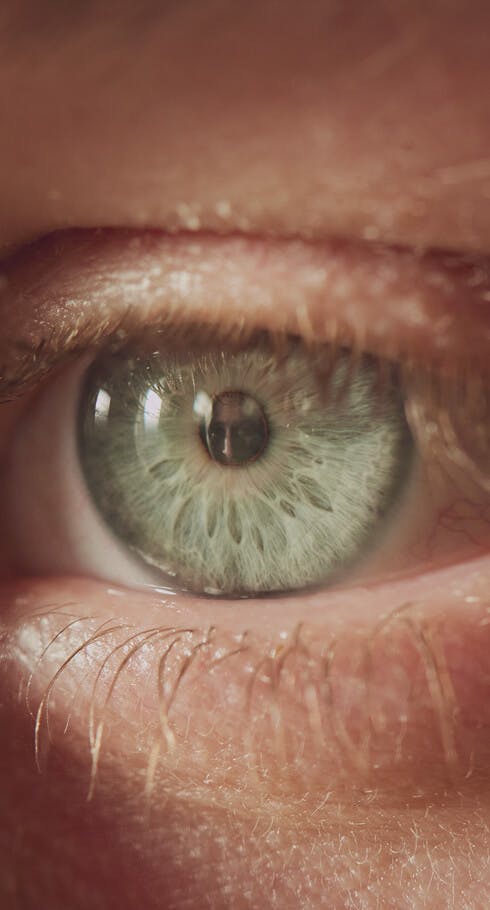close up eye