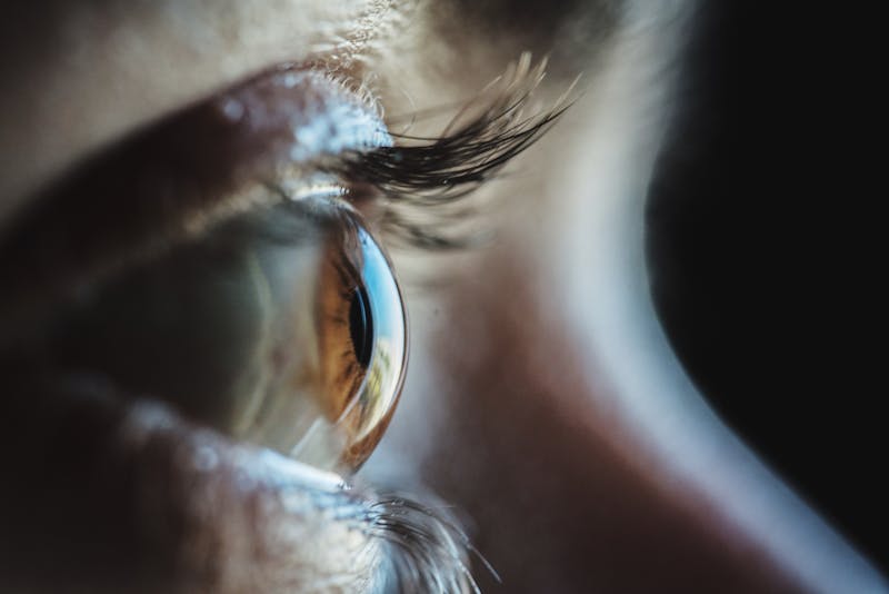 Eye