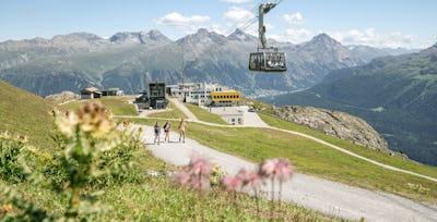 Wandern Corviglia | Sommer Auf einem Wanderweg im Corviglia-Gebiet im Engadin gehen drei Wanderer, zwei Frauen und ein Mann. Im Vordergrund wachsen gelb und rosa blühende Alpenblumen. Im Hintergrund ist die gelbe Bergstation Corviglia mit der Talstation der Luftseilbahn Piz Nair zu sehen, während die Luftseilbahn Piz Nair über ihre Köpfe schwebt.
