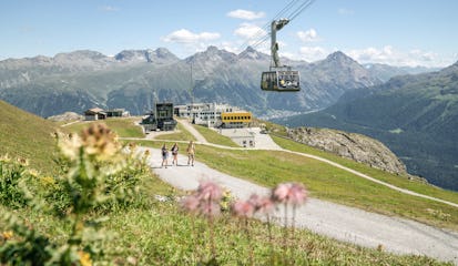 Wandern Corviglia | Sommer Auf einem Wanderweg im Corviglia-Gebiet im Engadin gehen drei Wanderer, zwei Frauen und ein Mann. Im Vordergrund wachsen gelb und rosa blühende Alpenblumen. Im Hintergrund ist die gelbe Bergstation Corviglia mit der Talstation der Luftseilbahn Piz Nair zu sehen, während die Luftseilbahn Piz Nair über ihre Köpfe schwebt.