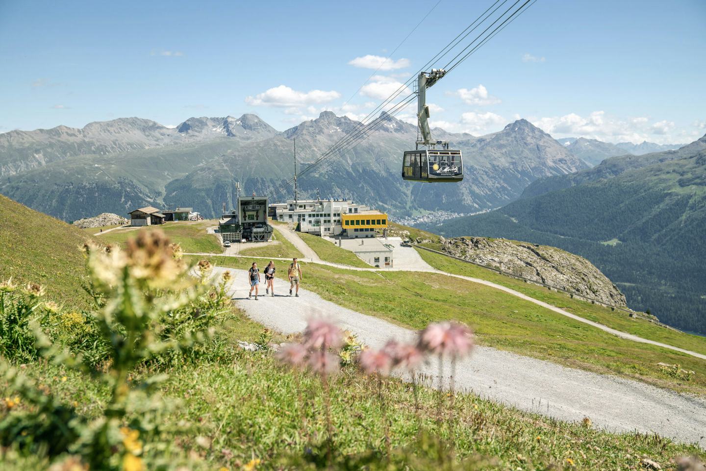 Wandern Corviglia | Sommer Auf einem Wanderweg im Corviglia-Gebiet im Engadin gehen drei Wanderer, zwei Frauen und ein Mann. Im Vordergrund wachsen gelb und rosa blühende Alpenblumen. Im Hintergrund ist die gelbe Bergstation Corviglia mit der Talstation der Luftseilbahn Piz Nair zu sehen, während die Luftseilbahn Piz Nair über ihre Köpfe schwebt.
