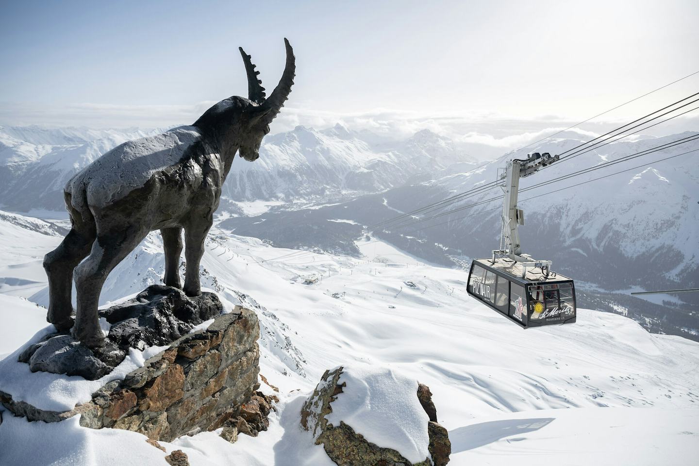 Vorne links im Bild steht eine Steinbock-Statue des Piz Nairs. Links im Bild ist die schwebende Luftseilbahn Piz Nair zu sehen. Bei klarer Sicht fällt der Blick auf die verschneiten Hänge der Corviglia, den schneebedeckten Stazerwald im Tal sowie die gegenüberliegenden Berge.
