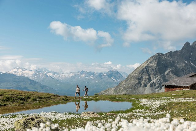 Auf Corviglia wandern ein Mann und eine Frau. Im Vordergrund ist eine grüne Wiese zu sehen, die mit weissen Blumen bedeckt ist, sowie ein kleiner See. Am linken Bildrand ist eine Berghütte zu sehen. Im Hintergrund ist die spektakuläre Alpenlandschaft des Oberengadins bei leicht bewölktem Himmel zu sehen.