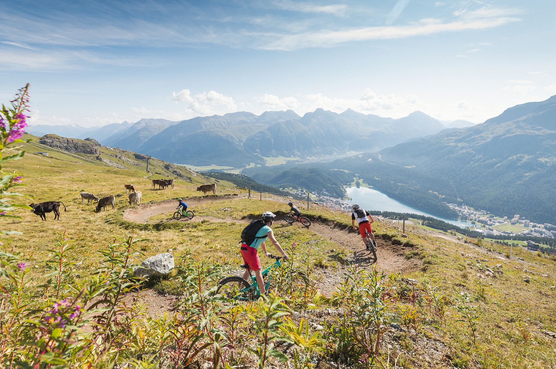 Familie am Mountainbiken fährt zu viert auf einem schmalen, steinigen Trail an einem felsigen Berghang. Im Hintergrund erstreckt sich eine alpine Landschaft mit grünen Hängen, bewaldeten Flächen, Berggipfeln und einem See im Tal.