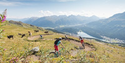 Mountainbike | Corviglia | Sommer Familie am Mountainbiken fährt zu viert auf einem schmalen, steinigen Trail an einem felsigen Berghang. Im Hintergrund erstreckt sich eine alpine Landschaft mit grünen Hängen, bewaldeten Flächen, Berggipfeln und einem See im Tal.