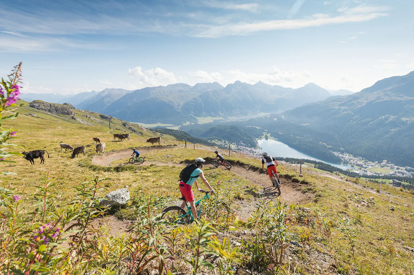 Mountainbike | Corviglia | Sommer Familie am Mountainbiken fährt zu viert auf einem schmalen, steinigen Trail an einem felsigen Berghang. Im Hintergrund erstreckt sich eine alpine Landschaft mit grünen Hängen, bewaldeten Flächen, Berggipfeln und einem See im Tal.