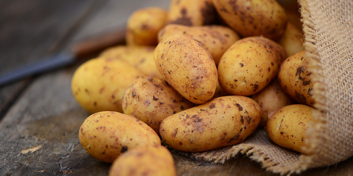 Immagine principale patate blogpost 2023
