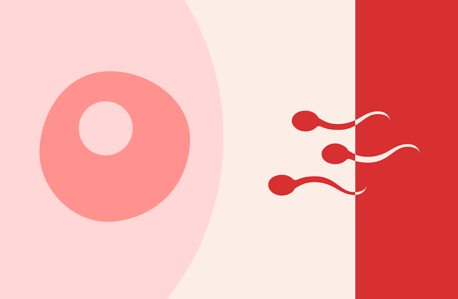 Espermatozoides nadando hacia un óvulo con un fondo rojo y rosa