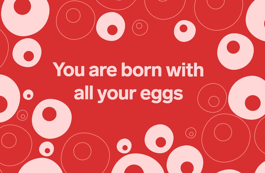 Pink egg cells on a red background with the text 'you are born with all your eggs'