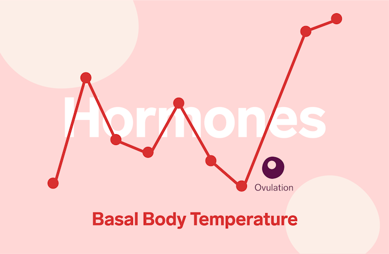 Gráfica de líneas de temperaturas rojas sobre un fondo rosa con la ovulación marcada. La palabra “Hormonas” está escrita en texto blanco y “Temperatura basal corporal”, en rojo.