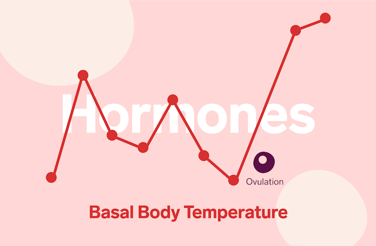 Red temperature linechart on pink background with ovulation marked. The word 'Hormones' is written in white text and 'Basal Body temperature' in red.