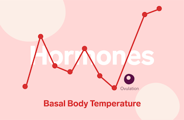 Gráfica de líneas de temperaturas rojas sobre un fondo rosa con la ovulación marcada. La palabra “Hormonas” está escrita en texto blanco y “Temperatura basal corporal”, en rojo.