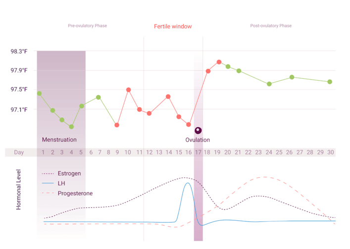 自然循环的温度图应用displaying ovulation, red and green days