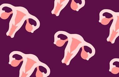 Uterus pattern on a purple background