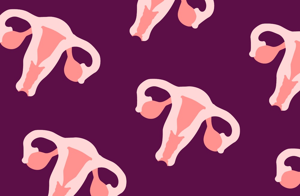 Find out a few fun facts about the uterus and learn more about your body to...