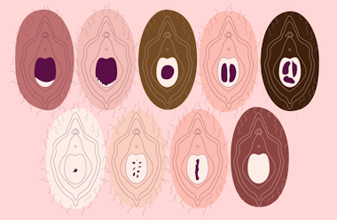 5 Facts About The Hymen What Is The Hymen Natural Cycles 5 Facts About The Hymen What Is The Hymen Natural Cycles