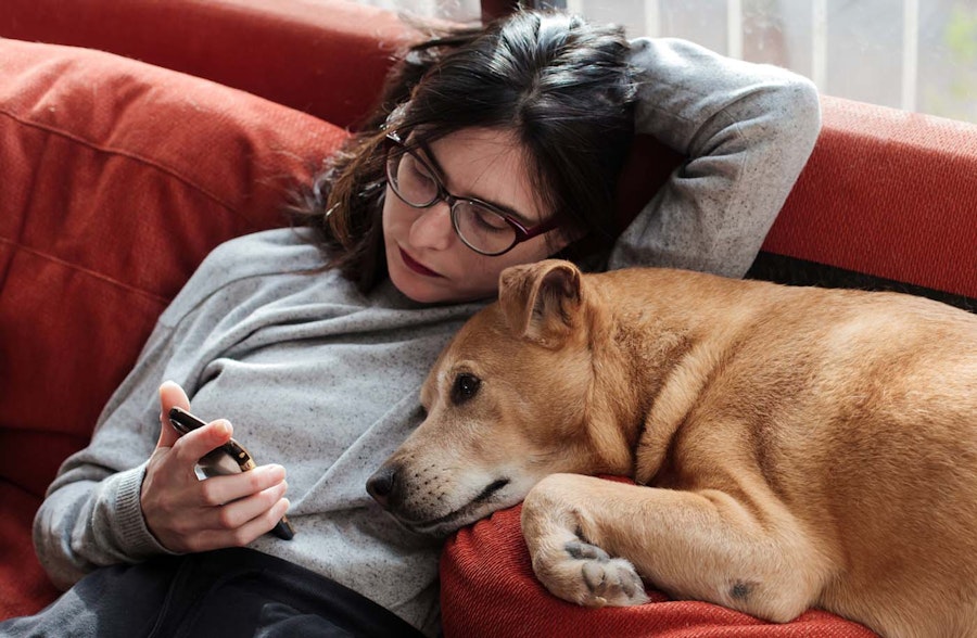 Woman with her dog looking to order birth control online on her phone